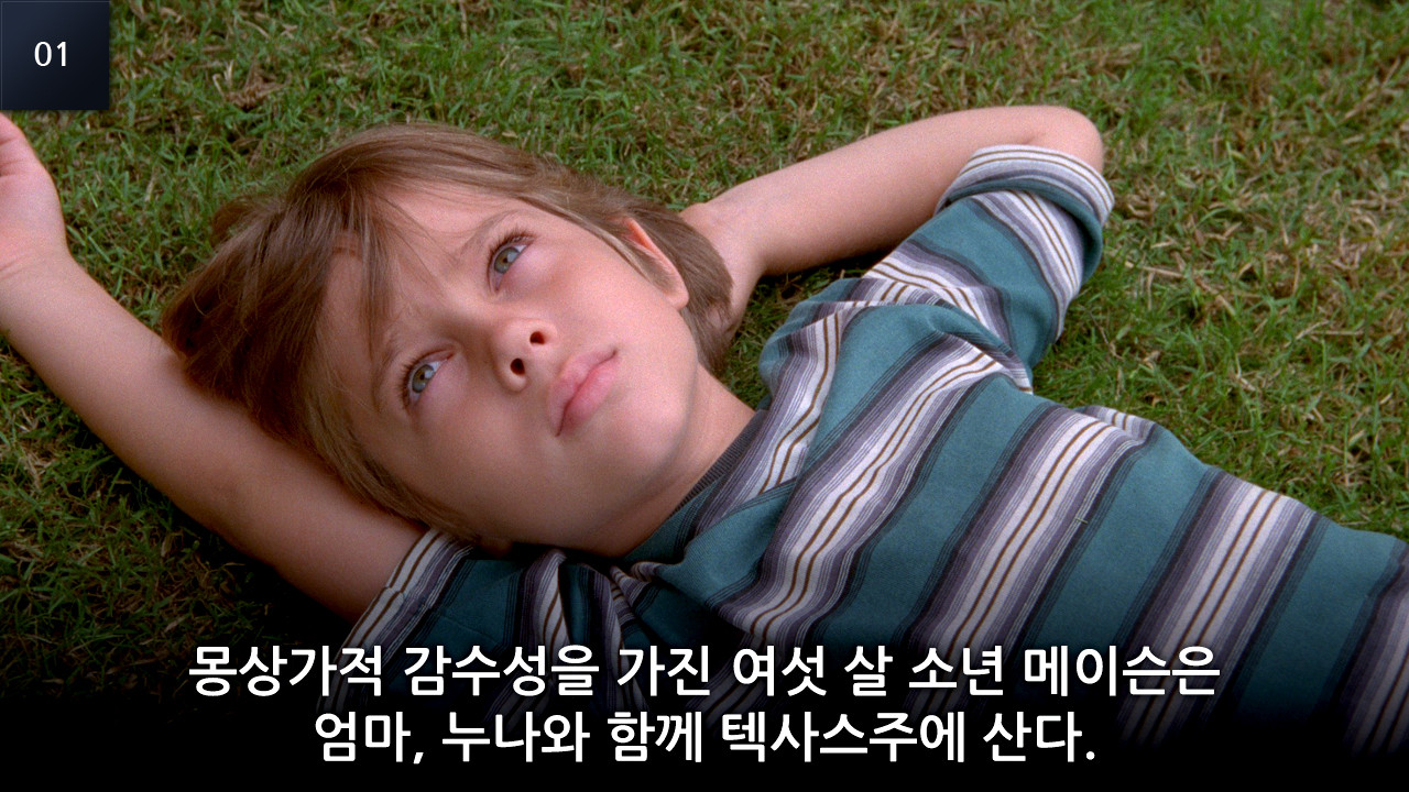 보이후드-여섯살